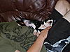 members/jodz-and-tucker-albums-tucker-3-months-old-picture7741-still.jpg