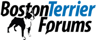 Boston Terrier Forums logo